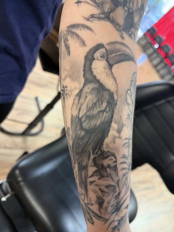 Black and gray toucan wildlife tattoo from Flashover Ink