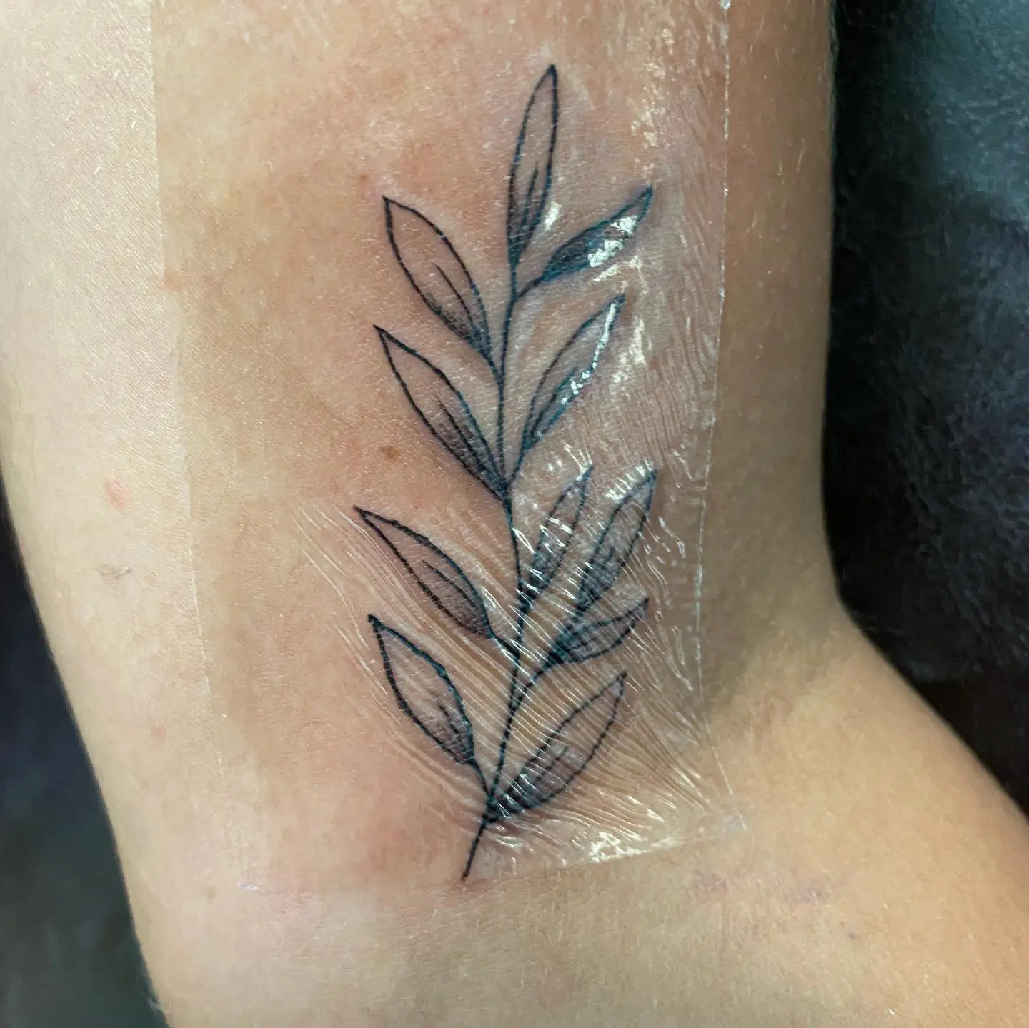 Minimalist and fine line botanical tattoo of a small olive branch.